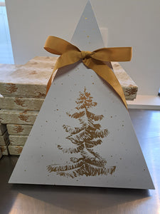 Adventsbox met Delfiens pralines