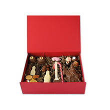 Load image into Gallery viewer, “Open Sintpostbox met chocolade Sint te paard, pralines, chocolademunten, chocostick en roze snoepstok tussen papieren opvulmateriaal.”
